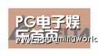 PG娱乐合作伙伴六