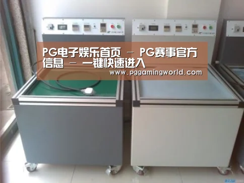 PG娱乐案例展示二