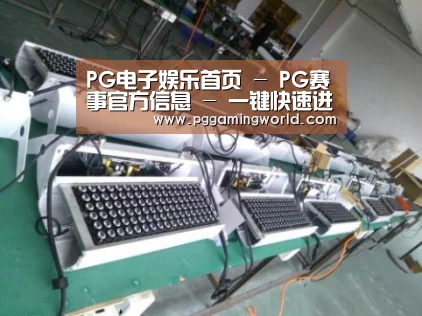 PG娱乐案例展示一