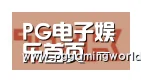 PG娱乐合作伙伴二