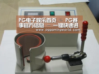 PG娱乐案例展示六